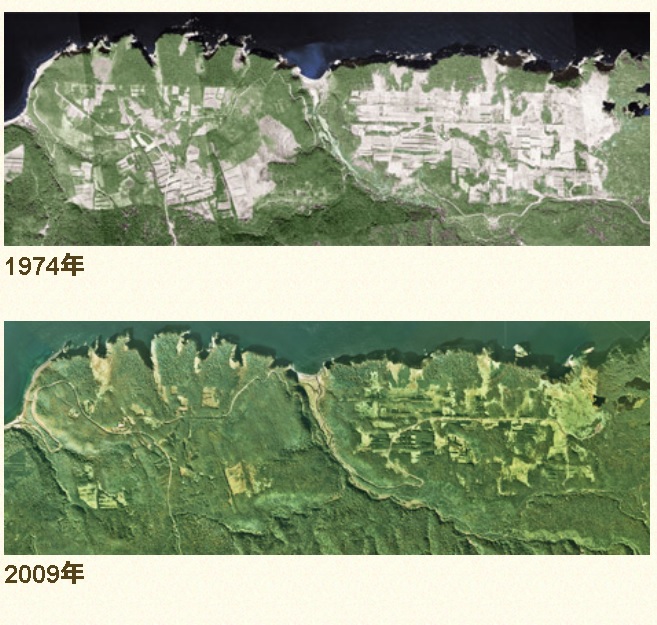 しれとこ100平方メートル運動