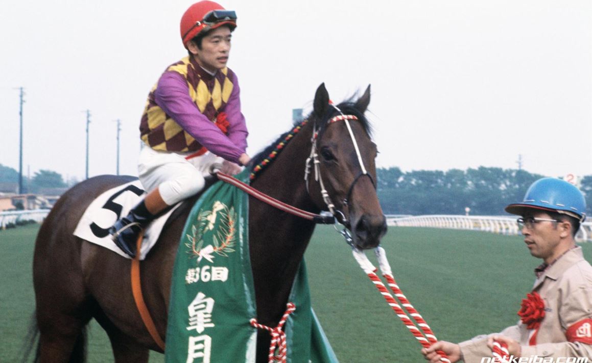 トウショウボーイ